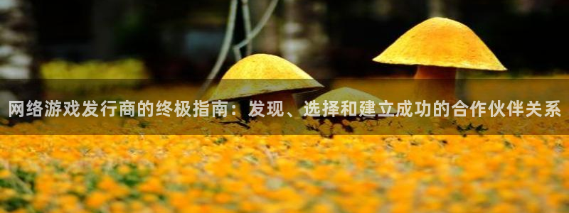 顺盈娱乐平台最新活动信息