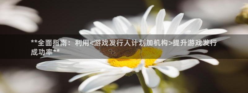 顺盈娱乐平台注册流程视频教程