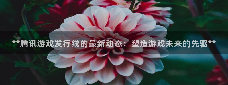 顺盈娱乐平台注册流程图