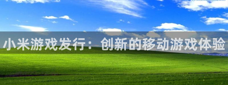顺盈平台注册资金多少亿：小米游戏发行：创新的移动游戏体验