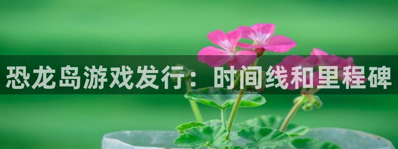 顺盈网络科技有限公司招聘：恐龙岛游戏发行：时间线和里程碑