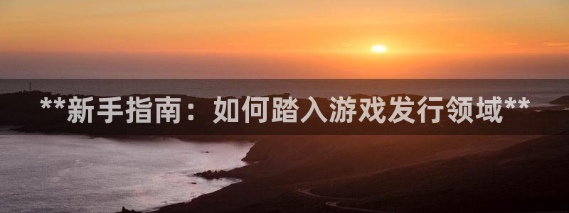 顺盈娱乐平台主管联系方式：**新手指南：如何踏入游戏发行领域**
