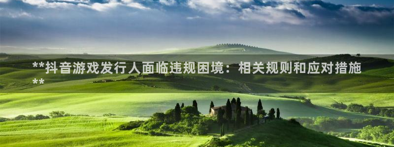 顺盈商贸有限公司：**抖音游戏发行人面临违规困境：相关规则和应对措施
**