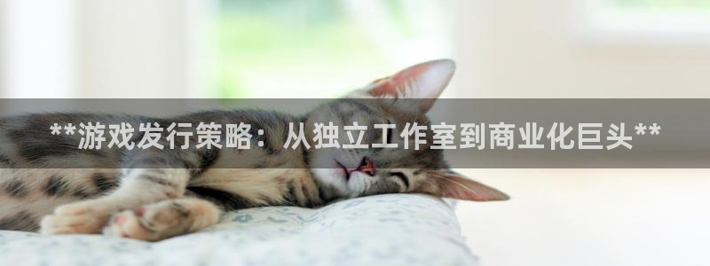顺盈娱乐扣款成功了吗：**游戏发行策略：从独立工作室到商业化巨头**