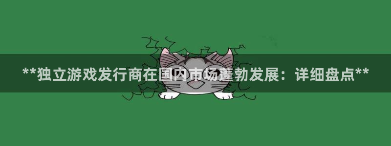 顺赢网络科技有限公司：**独立游戏发行商在国内市场蓬勃发展：详细盘点**