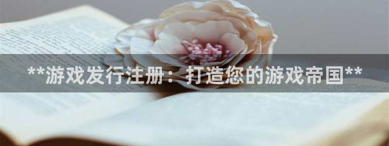 顺盈娱乐扣款成功了吗：**游戏发行注册：打造您的游戏帝国**
