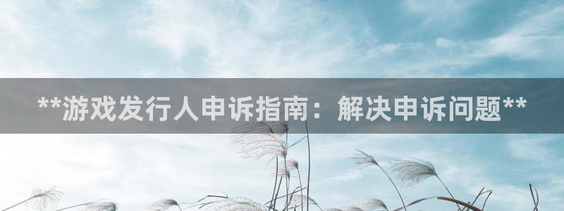 顺盈娱乐登录平台是什么：**游戏发行人申诉指南：解决申诉问题**