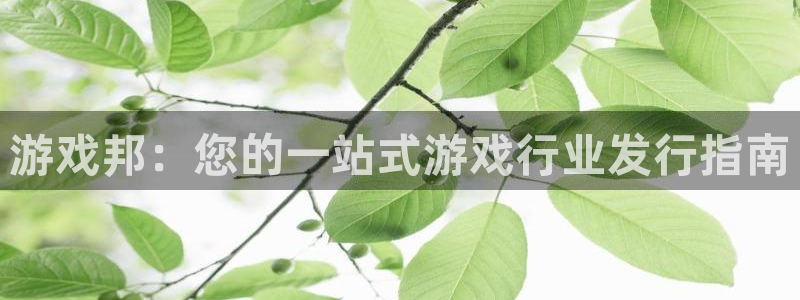 顺盈app是真的吗：游戏邦：您的一站式游戏行业发行指南