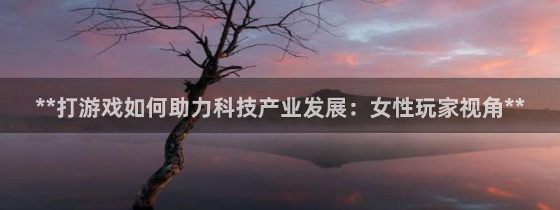 顺盈app是真的吗还是假的：**打游戏如何助力科技产业发展：女性玩家视角**