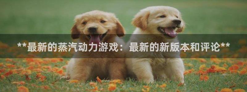 顺盈娱乐的员工待遇怎么样知乎：**最新的蒸汽动力游戏：最新的新版本和评论**