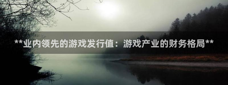 顺盈平台注册网址是多少：**业内领先的游戏发行值：游戏产业的财务格局**