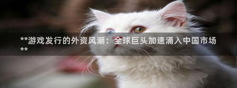 顺盈平台：**游戏发行的外资风潮：全球巨头加速涌入中国市场
**