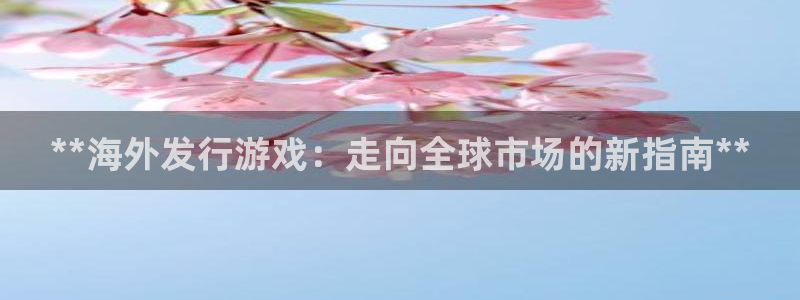顺盈平台注册开户要钱吗：**海外发行游戏：走向全球市场的新指南**