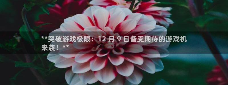 顺盈app是真的吗安全吗：**突破游戏极限：12 月 9 日备受期待的游戏机
来袭！**