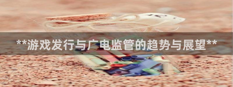 顺盈网络科技有限公司招聘：**游戏发行与广电监管的趋势与展望**