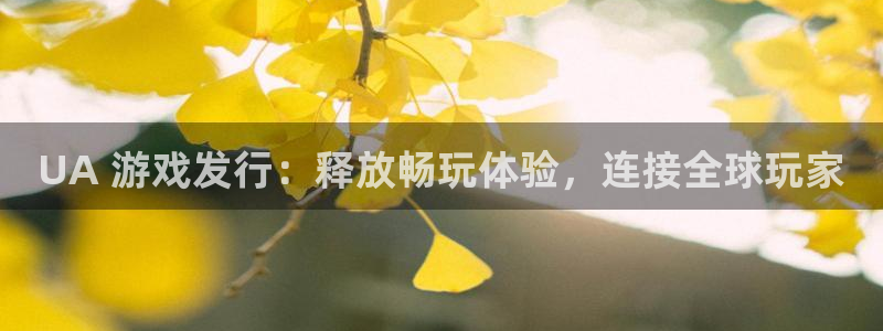 顺盈娱乐平台提现被关闭怎么回事呀：UA 游戏发行：释放畅玩体验，连接全球玩家