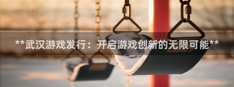 顺盈娱乐登录平台下载官网：**武汉游戏发行：开启游戏创新的无限可能**