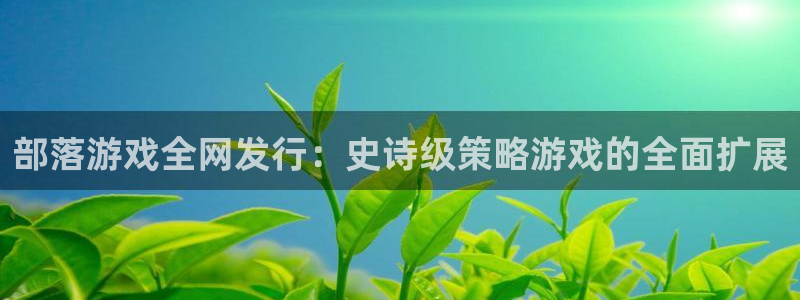 顺盈国际下载安装