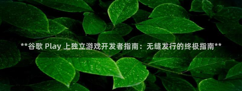 顺盈平台注册地址在哪查：**谷歌 Play 上独立游戏开发者指南：无缝发行的终极指南**