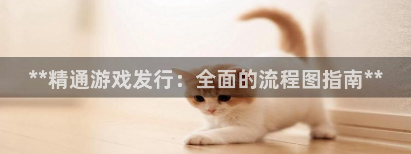 顺盈娱乐公司介绍图片大全