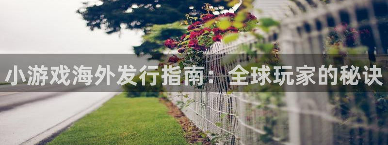 顺盈娱乐平台最新活动消息：小游戏海外发行指南：全球玩家的秘诀