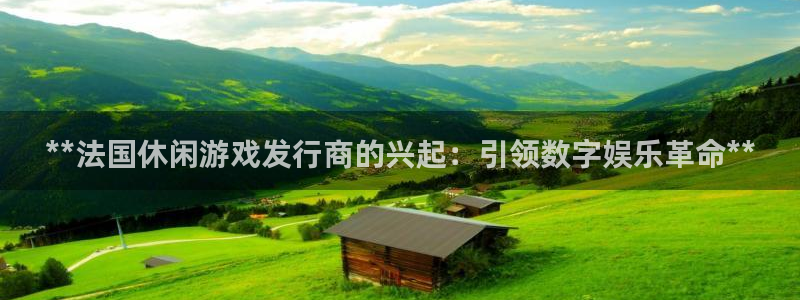 顺盈娱乐扣款成功了吗怎么查：**法国休闲游戏发行商的兴起：引领数字娱乐革命**