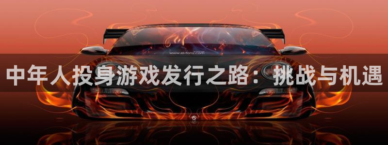 顺赢通用版：中年人投身游戏发行之路：挑战与机遇