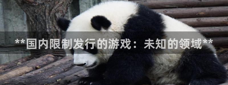 顺盈娱乐登录平台是什么意思：**国内限制发行的游戏：未知的领域**