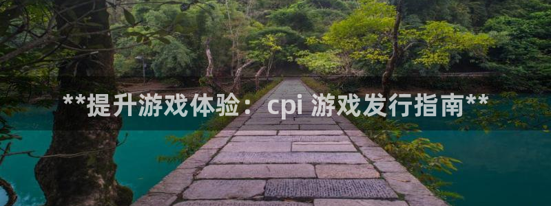 顺盈娱乐官网首页入口下载：**提升游戏体验：cpi 游戏发行指南**
