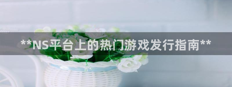 顺赢大师软件可不可靠：**NS平台上的热门游戏发行指南**