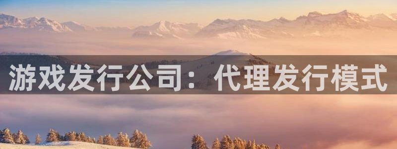 顺盈平台注册流程图片：游戏发行公司：代理发行模式