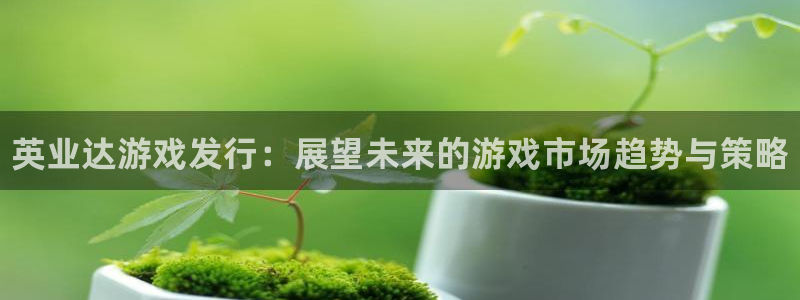 顺盈娱乐平台提现被关闭怎么回事啊