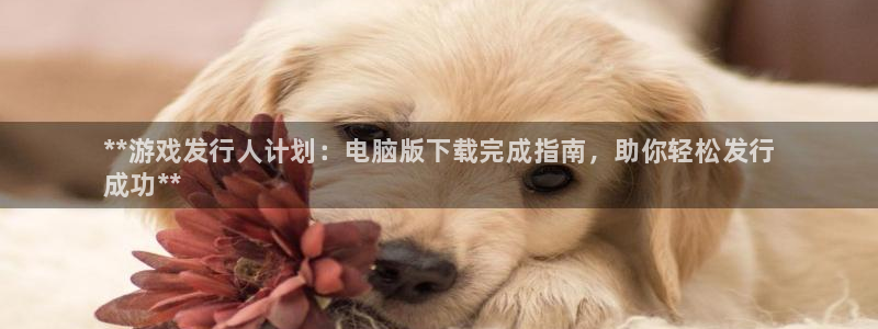 顺盈娱乐公司介绍图片大全