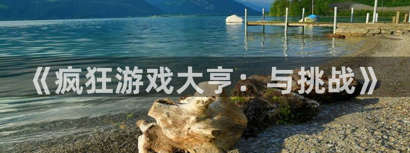 顺盈平台注册网址是什么：《疯狂游戏大亨：与挑战》