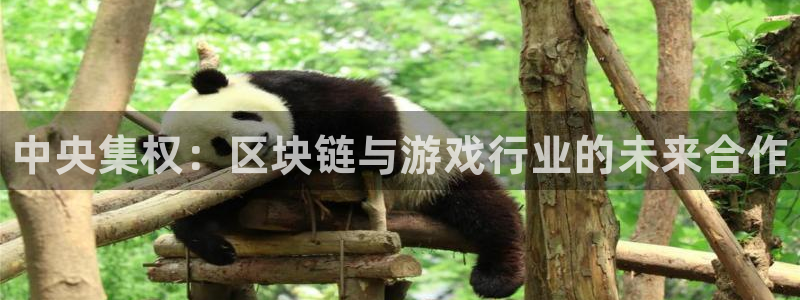顺赢商贸有限公司：中央集权：区块链与游戏行业的未来合作
