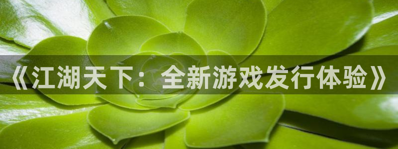 顺盈娱乐的员工待遇怎么样呀：《江湖天下：全新游戏发行体验》