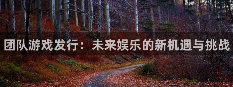 顺盈平台注册网址：团队游戏发行：未来娱乐的新机遇与挑战