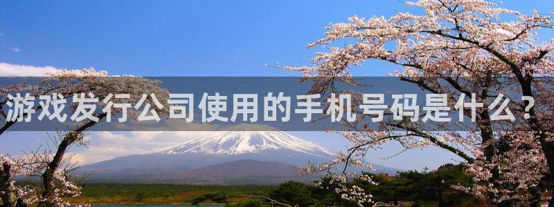 顺赢inka：游戏发行公司使用的手机号码是什么？