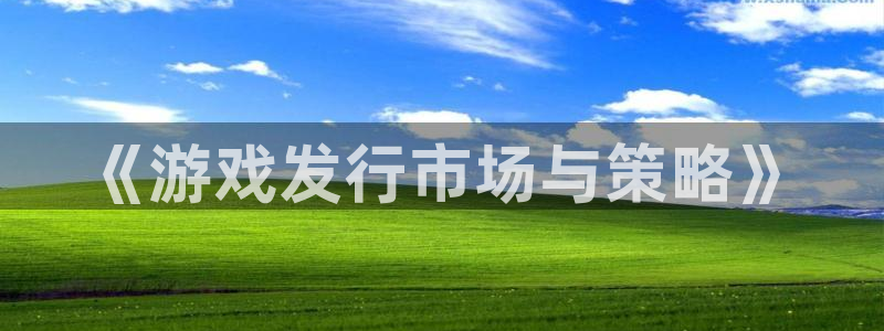 顺盈平台：《游戏发行市场与策略》