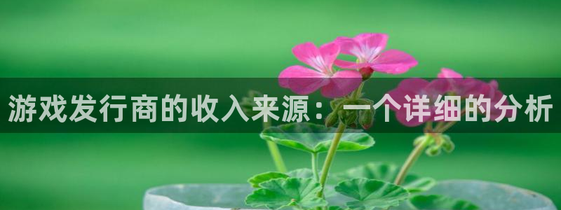 顺盈平台登陆：游戏发行商的收入来源：一个详细的分析