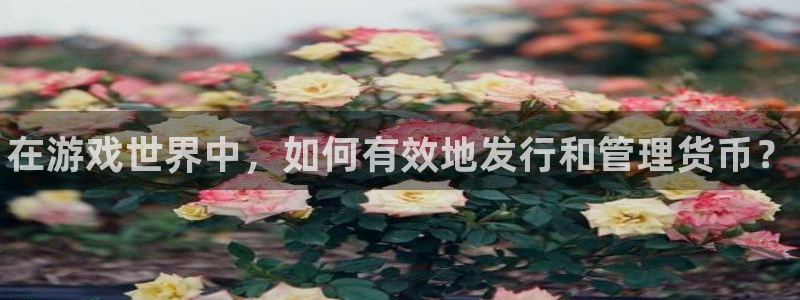 顺盈娱乐平台注册流程图片下载：在游戏世界中，如何有效地发行和管理货币？