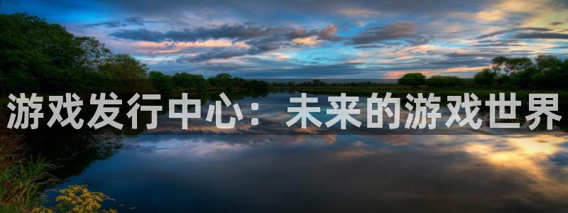 顺盈电子有限公司