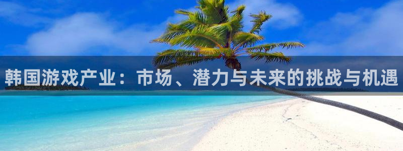 顺盈app：韩国游戏产业：市场、潜力与未来的挑战与机遇