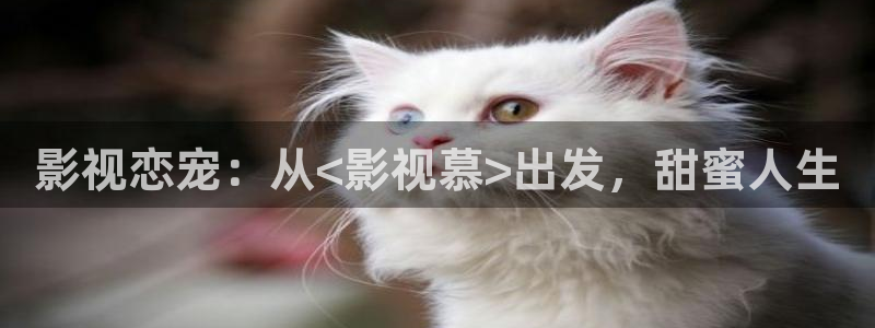 天天平民影院
