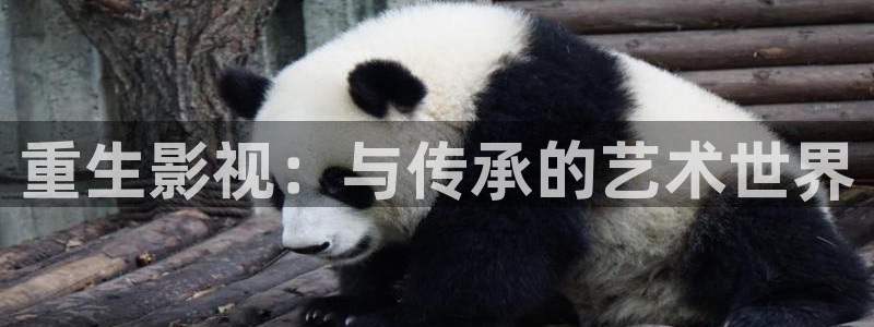 光棍平民影院