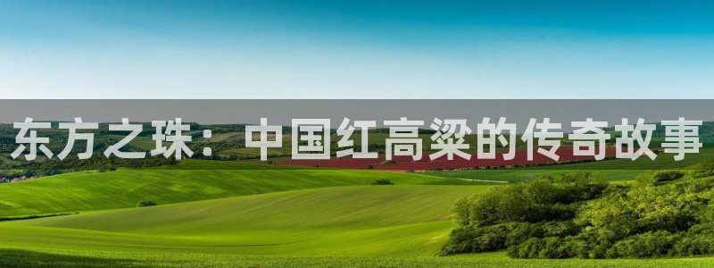 p平民影院